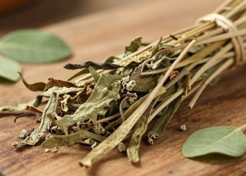How long does horny goat weed take to work