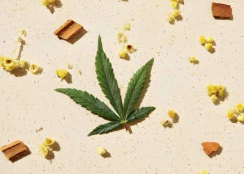 Is cannabis the new wellness trend