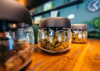 Top CBD Companies