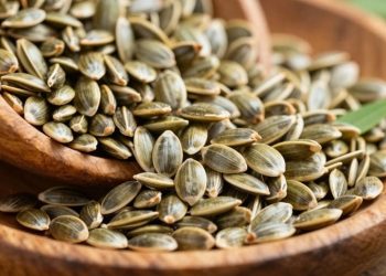 health benefit of hemp hearts